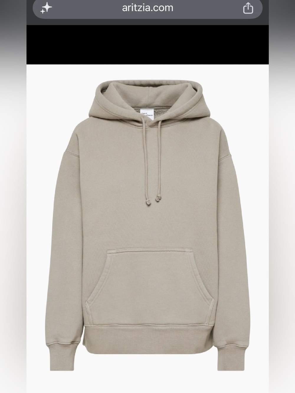 Tna Aritzia Airy Boyfriend Sweatshirt